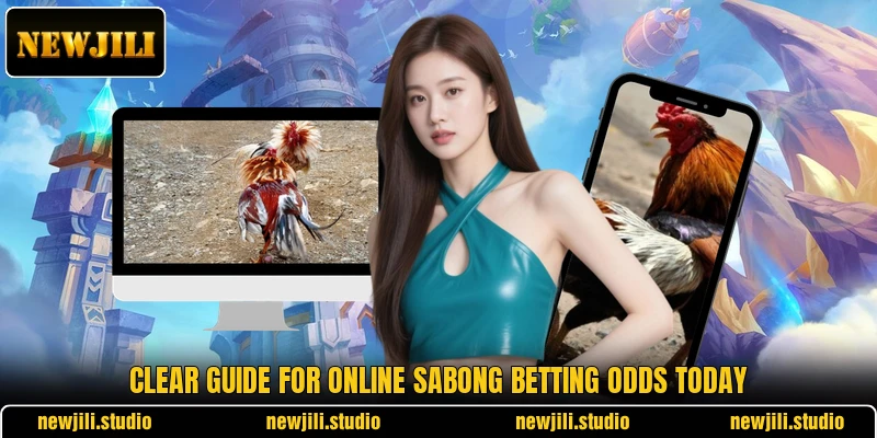 Clear guide for online sabong betting odds today Clear guide for online sabong betting odds today